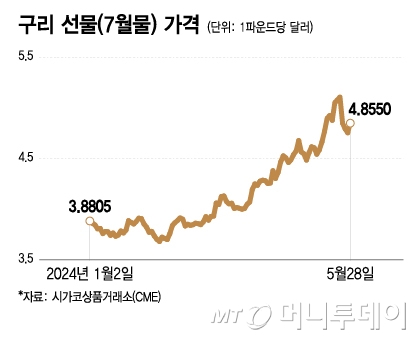 나도 AI 수혜주…수익률 '껑충' 구리에 돈 몰린다